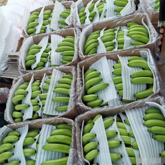 bảo quan chuối, mẹo hay