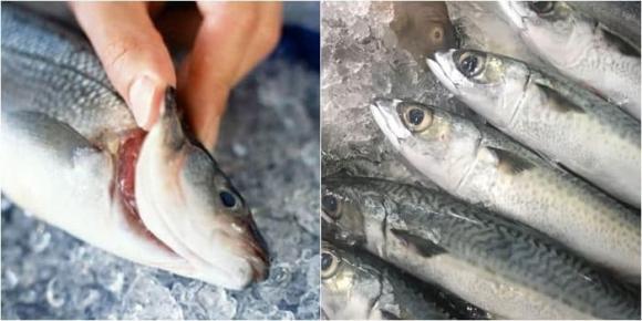 Thực phẩm bị ngâm hóa chất, thực phẩm sạch, thịt ngâm hóa chất, tôm bơm tạp chất