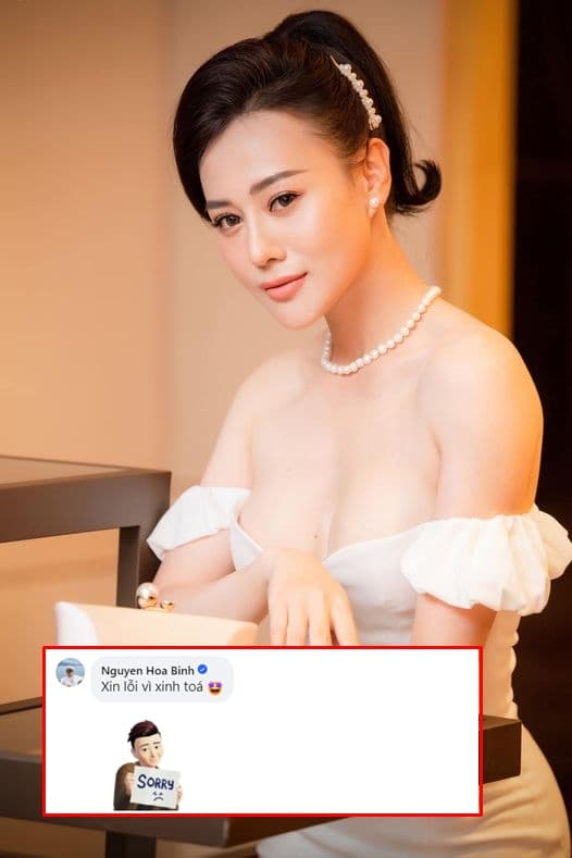 diễn viên Phương Oanh, Shark Bình, sao Việt