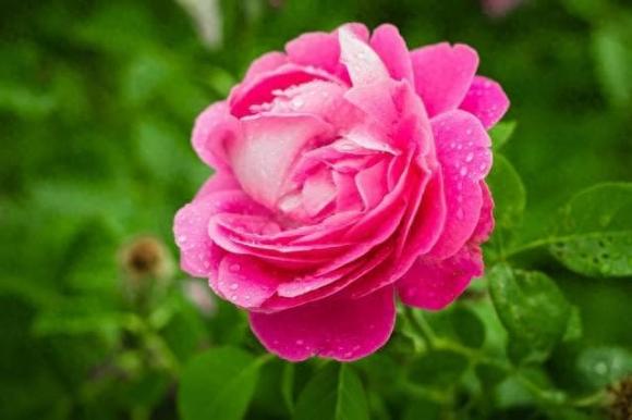 Trắc nghiệm tâm lý