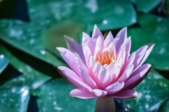 Trắc nghiệm tâm lý
