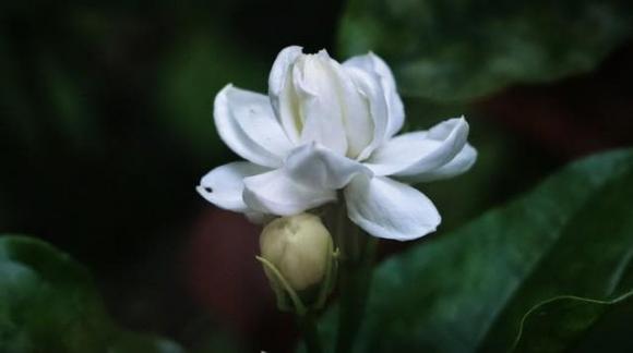 Trắc nghiệm tâm lý