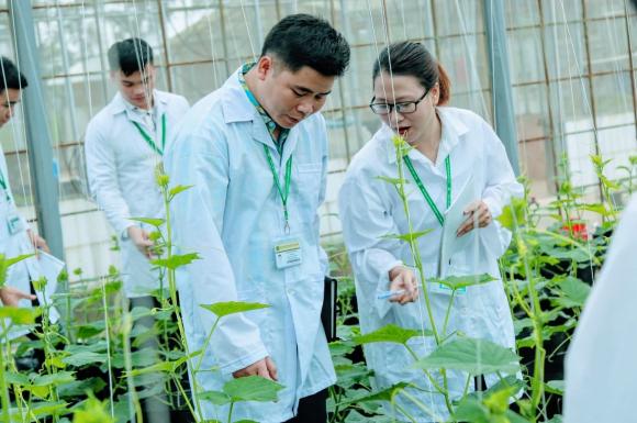 ngành học, học ngành gì, công nghệ rau quả, kiến thức 