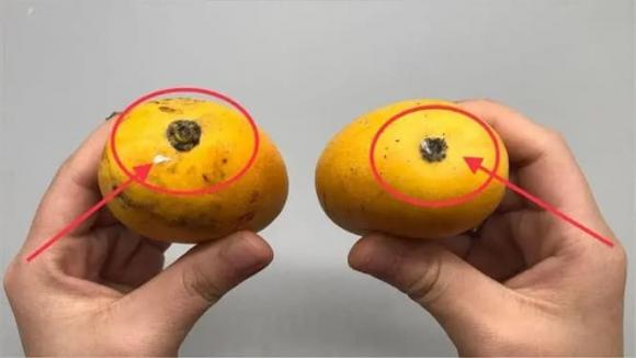 mua xoài, chọn xoài ngon, kinh nghiệm đi chợ