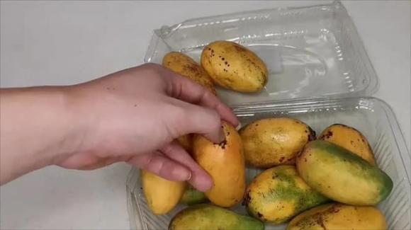 mua xoài, chọn xoài ngon, kinh nghiệm đi chợ