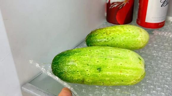 Túi bóng khí, tác dụng của túi bóng khí, mua sắm trực tuyến