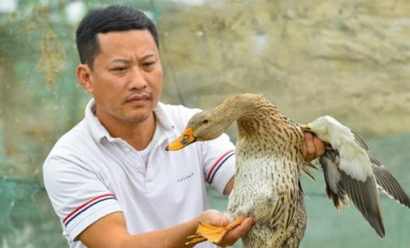 Vịt cổ lũng, gà tiến vua, tỷ phú nông dân
