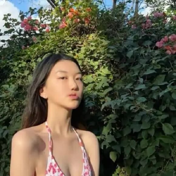 lý yên, vương phi, lý á bằng, con gái hở hàm ếch, sao hoa ngữ