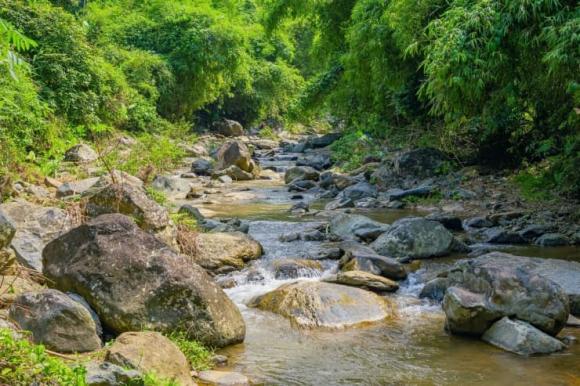Suối chữa lành, địa điểm cắm trại ngoại thành hà nội