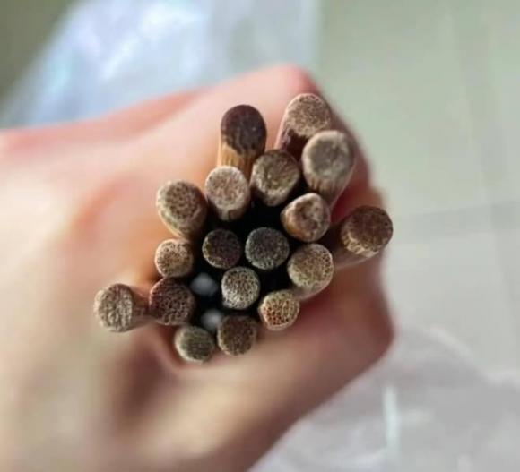 đồ gây ung thư, dầu ăn, tủ lạnh, đũa, khăn lau
