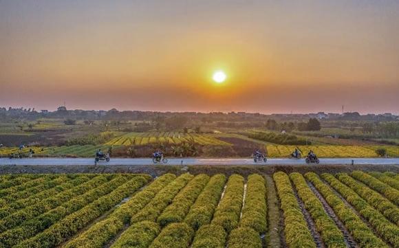 Hải dương, hải dương từng sáp nhập với tỉnh nào, tỉnh hưng yên