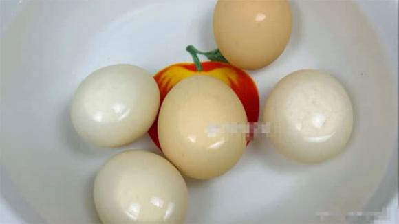 trứng, trứng luộc, dạy nấu ăn