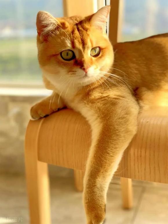 Trắc nghiệm tâm lý