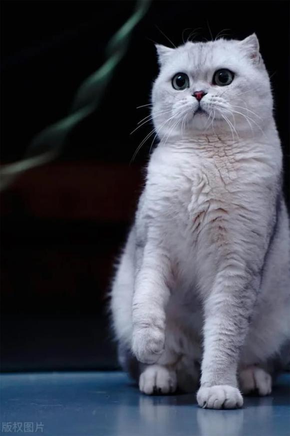 Trắc nghiệm tâm lý