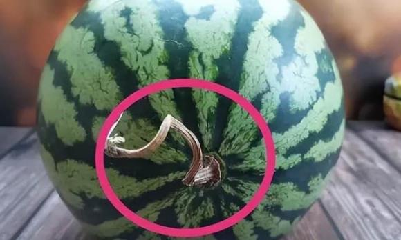 Dưa hấu, mẹo chọn dưa hấu