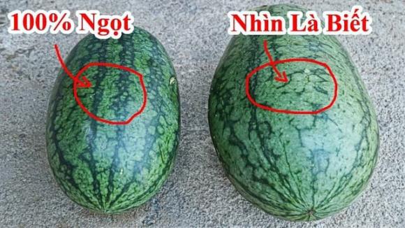 Dưa hấu, mẹo chọn dưa hấu