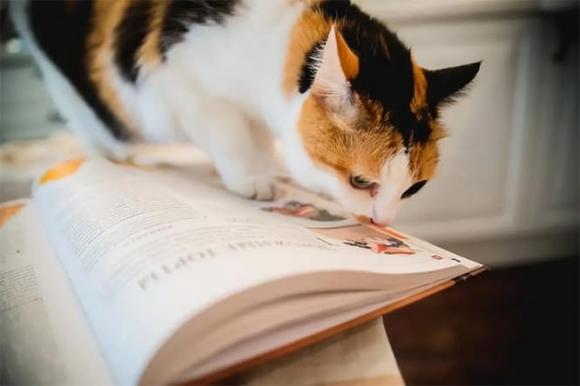Trắc nghiệm tâm lý