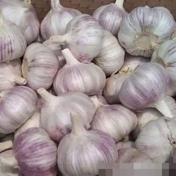 vỏ tỏi, củ tỏi, mẹo vặt gia đình