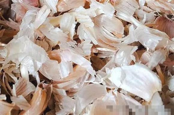 vỏ tỏi, củ tỏi, mẹo vặt gia đình