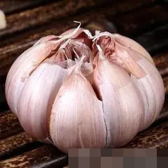 vỏ tỏi, củ tỏi, mẹo vặt gia đình