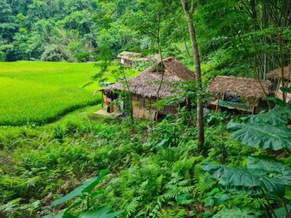 Suối nước nóng Bò Ấm, Mỏ Ấm, suối khoáng nóng