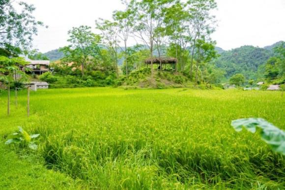 Suối nước nóng Bò Ấm, Mỏ Ấm, suối khoáng nóng