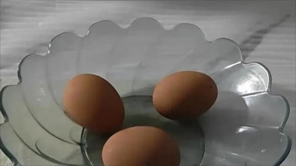bảo quản trứng, tủ lạnh