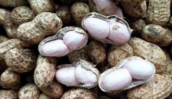 lạc luộc, luộc lạc, đậu phộng, dạy nấu ăn