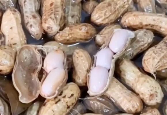 lạc luộc, luộc lạc, đậu phộng, dạy nấu ăn