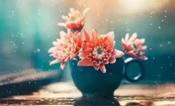 tuổi trung niên, tranh chấp giữa anh chị em, tình cảm gia đình