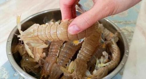 bê bề, hấp bề bề, dạy nâu ăn