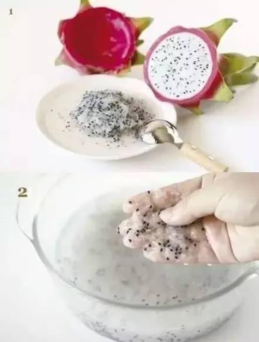 trồng bơ, trồng dứa, trồng cây từ hạt