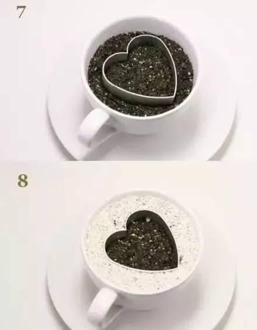 trồng bơ, trồng dứa, trồng cây từ hạt