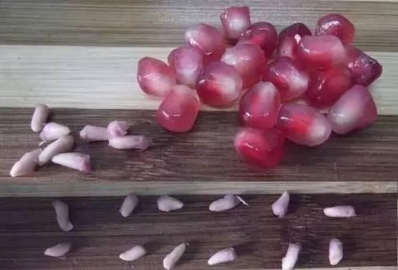 trồng bơ, trồng dứa, trồng cây từ hạt