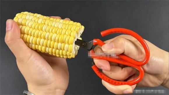 bắp ngô, ngô luộc, mẹo vặt gia đình