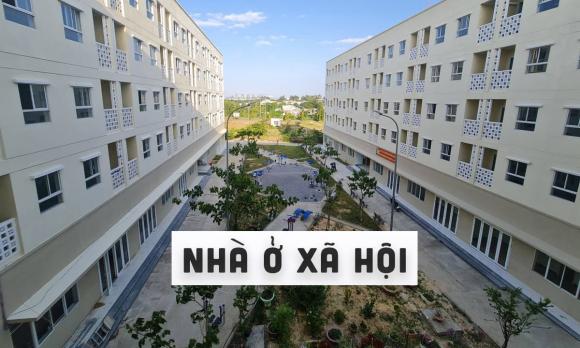 Bằng lái xe, giấy phép lái xe, luật giao thông