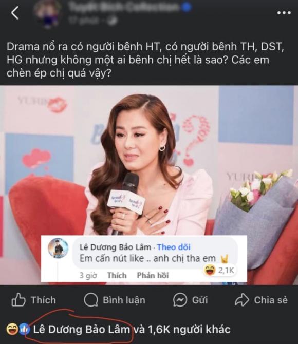 Lê Dương Bảo Lâm, Nam Thư, sao Việt 