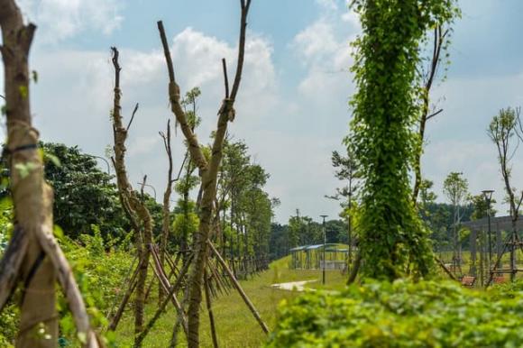 công viên Mễ Trì, công viên Nam Từ Liêm, công viên lớn nhất Hà Nội, kiến thức 