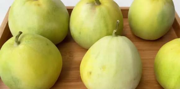dưa lê, quả dưa, mẹo vặt gia đình