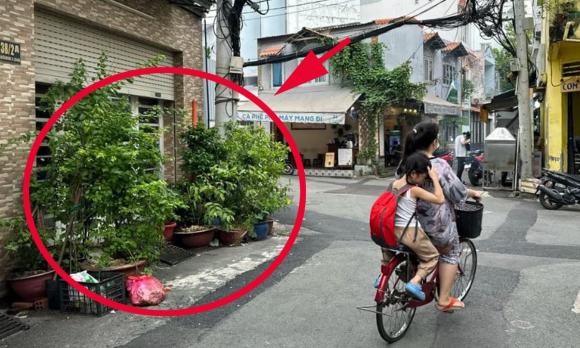 cây cảnh, chậu cây cảnh trước nhà, pháp luật, kiến thức 