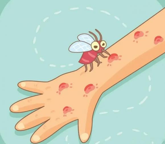 muỗi, cách bảo vệ bản thân khỏi muỗi, thủ thuật ngăn muỗi vào nhà, sốt xuất huyết
