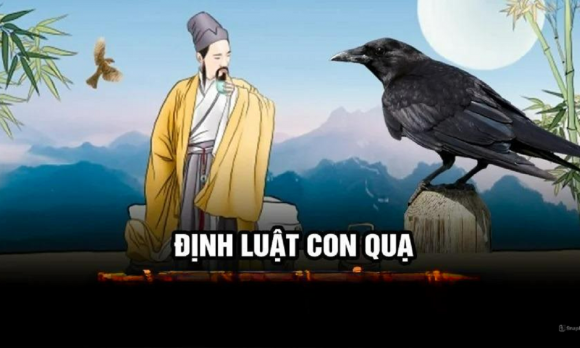 định luật chim sẻ, sống như chim sẻ, về hưu