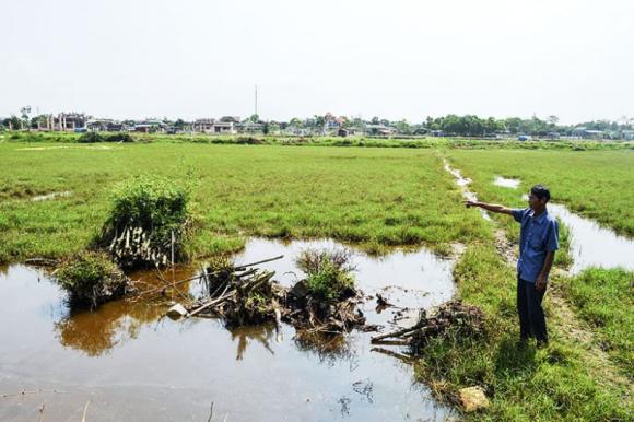  đất nông, lâm nghiệp, thu hồi đất, kiến thức 