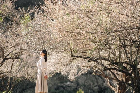 Mộc châu, du lịch mộc châu