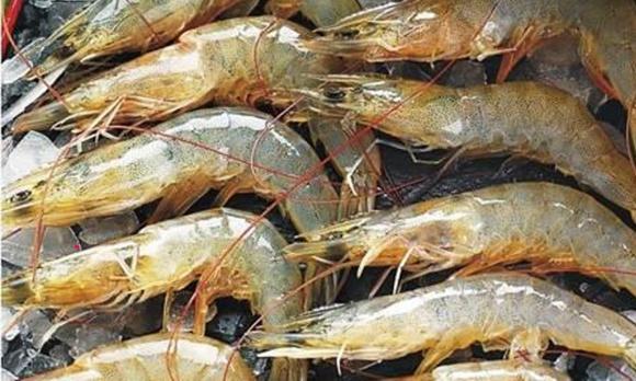 siêu thị, chiêu trò siêu thị, mua hàng giá đắt