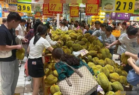 bảo quản, bảo quan sầu riêng