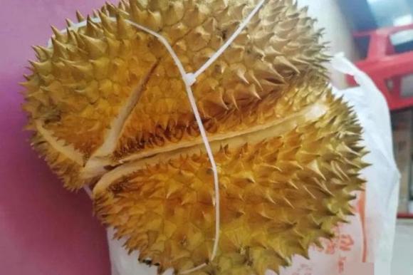 bảo quản, bảo quan sầu riêng