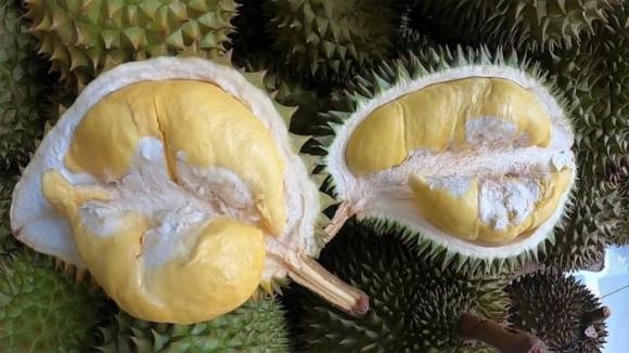 Sầu riêng, cách chọn sầu riêng ngon, kiến thức
