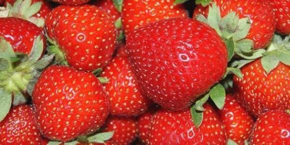 cao huyết áp, quả bưởi, quả hồng, sầu riêng