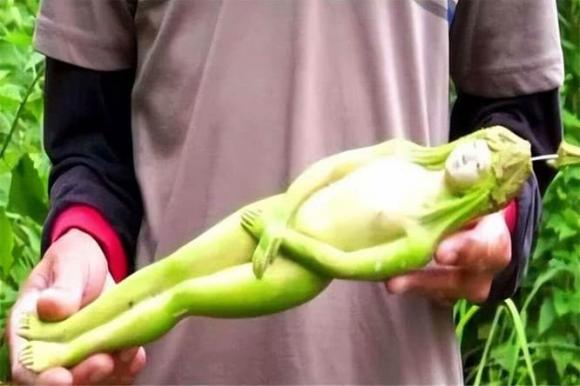 du lịch Thái Lan, trái thần tiên